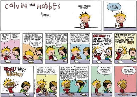 Completeist Calvin And Hobbes Of The Day Sunday Edition