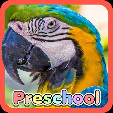 Wild Animal Preschool Games by Simon Turner
