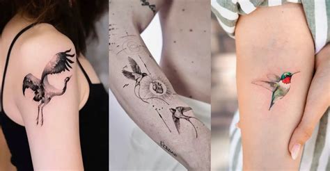 Discover More Than 77 Bird Tattoo Design Latest Thtantai2