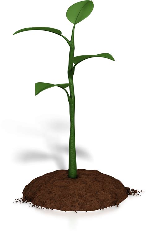 View Grow Clipart Images Alade