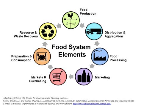 What Are Food Systems And What Is The Difference Between Global Systems