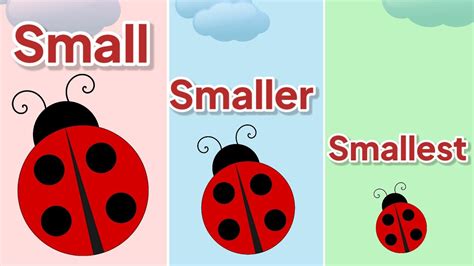Small Smaller Smallest Compare Sizes Kindergarten Lessons Math