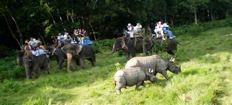 Kathmandu Pokhara Chitwan Jungle Safari Tour Tours Trek Nepal