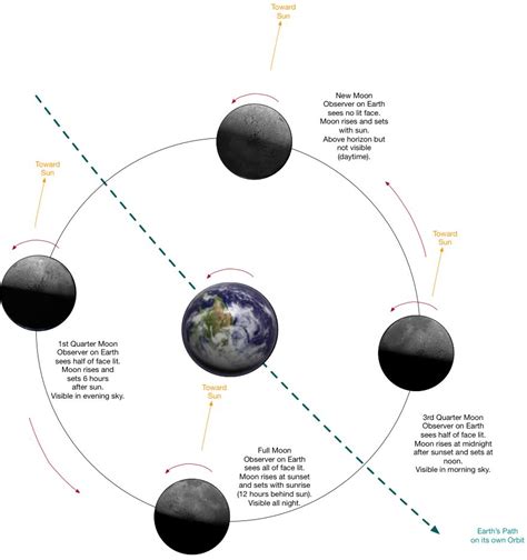 Lunar Motions Lunar Orbit Months Eclipses Scholars Online Astronomy