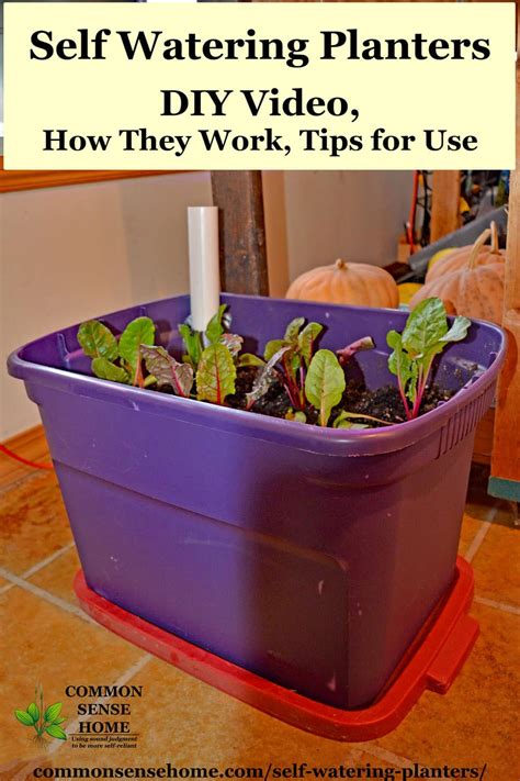 Self watering planters