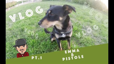 Vlog Nr1 Emma And Pistole Hunde Tips Und Tricks Youtube