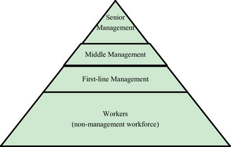 Levels Of Organization Pyramid