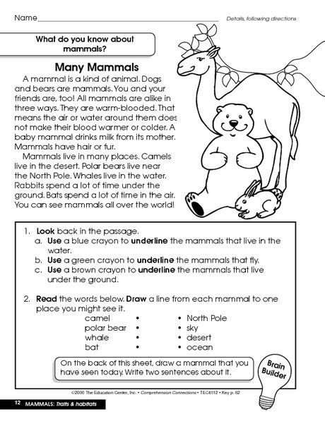 Animal Habitats Reading Comprehension Worksheet Infinityscarfhowtowear