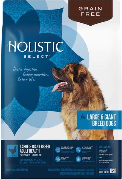 Holistic Select Large And Giant Breed Chicken Meal And Lentils Natural