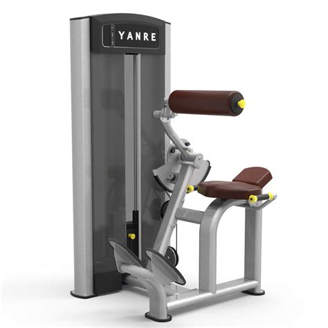 Back Extension Machine Seated Back Extension For Sale Yanre Fitness