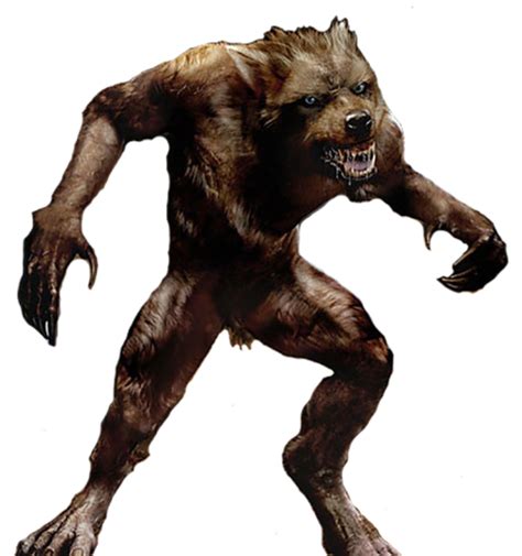 Werewolf Png Transparent Images Png All