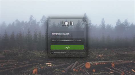 20 Interesting Css Login Form Designs Bashooka