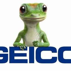 Geico provides consumers with education and information specifically. GEICO Insurance Agent - Insurance - 711 Broad St Ext ...
