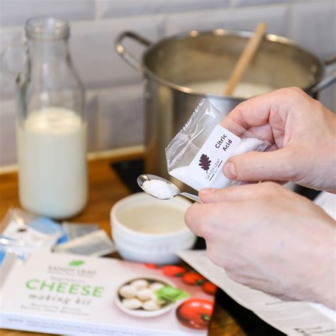 Sandy Leaf Farm Cheese Making Kit And Supplies Homemade Diy Ricotta