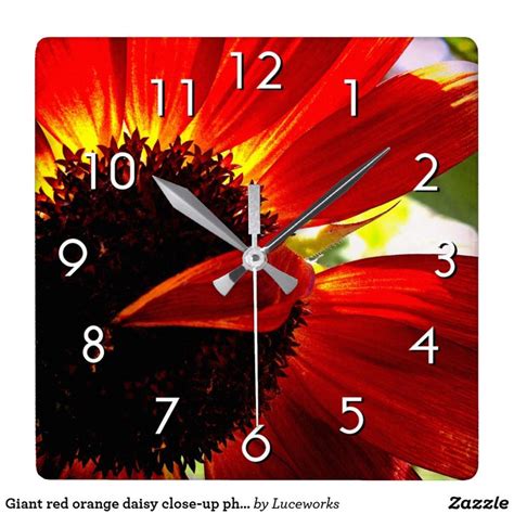 Beautiful Red Gerber Daisy Flower Photo Modern Square Wall Clock