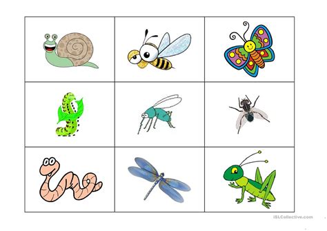 Insects Bingo Game English Esl Worksheets For Distance Printable Vrogue