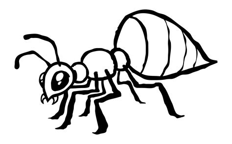 Ant Clipart Black And White