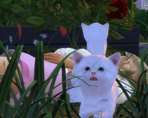 Sims 4 Cats Downloads Sims 4 Updates