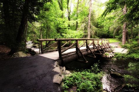 The Bridge Through The Woods Photograph By Trina Ansel Fine Art America