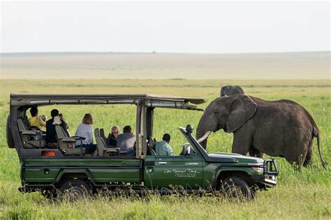 What Does A Safari Cost Guidelines For 2024 Go2africa