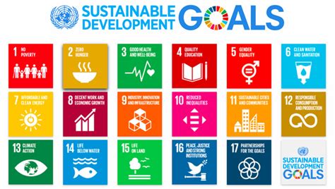 The united nations has published 17 sustainable development goals to guide the role of public the entire #sdgsandme series helps explain more about the sdgs, and how you can help reach them in. SOCAP Voices: The UN's Achim Steiner on the SDGs as a ...