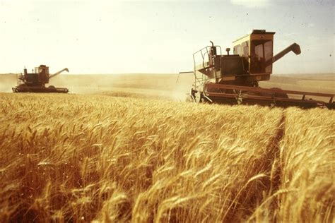 You can open the mini map and look at the wheat husker is a farming machine that alexander graham bell and his friends made at the age of 14. If not us, then who? Working in God's Harvest - Stepping ...