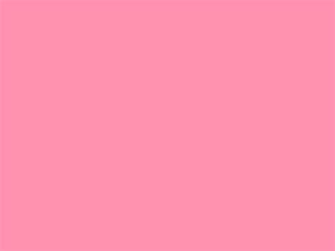 2048x1536 Schauss Pink Solid Color Background