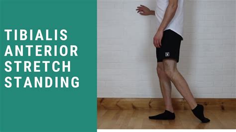 Tibialis Anterior Stretch Standing Youtube