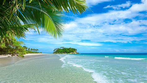Blue Sea And Sky Beach Coast Palm Trees Tropical Water Wallpaper