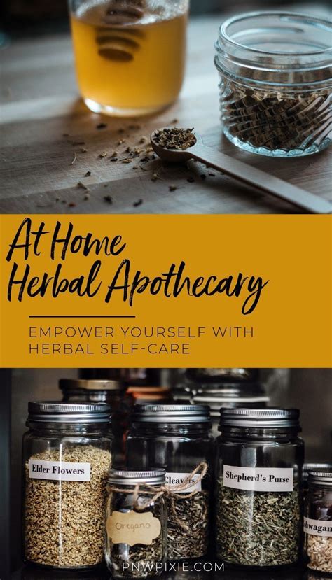 How To Start Your Own Home Apothecary In 2020 Herbalism Herbal