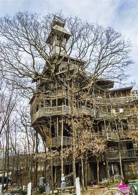 Dengan penemuan ini diharap kita lebih menghargai. Wow! Rumah Atas Pokok Tertinggi dengan 10 Tingkat | Aku ...