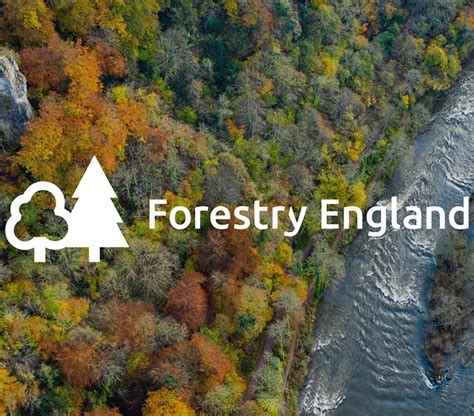 Forestry England