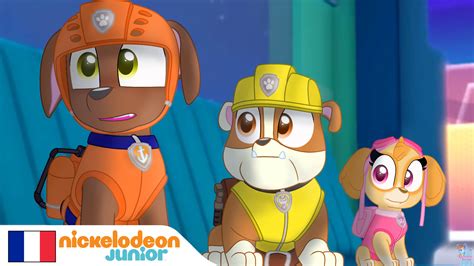 Nickelodeon France Zuma Rubble Et Skye Marshall Paw Patrol Paw