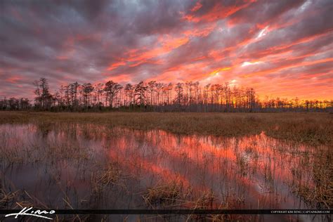 Florida Wetlands Landscape Sunset Colors Pbg Hdr Photography By