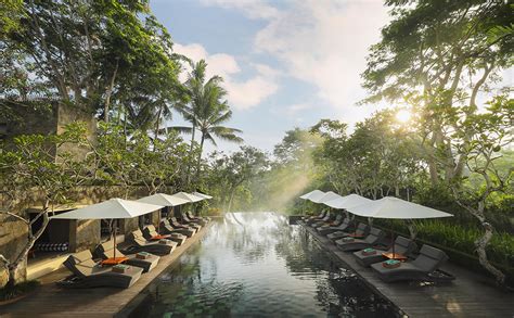 Infinity Forest Pool Maya Ubud Resort And Spa