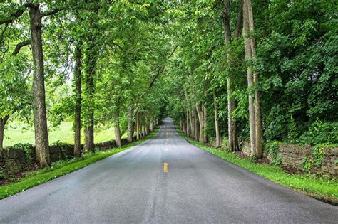 New National Scenic Byways To Explore This Summer
