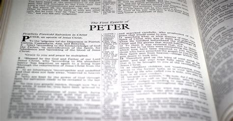Why Study The Books Of 12 Peter Bible Study
