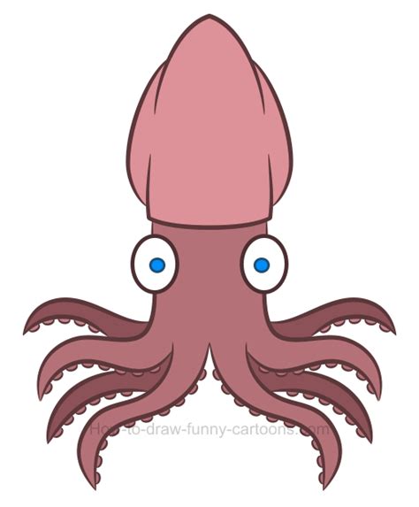 How To Draw A Squid Clipart