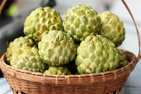 We are not tropical here. Custard Apple Benefits That You Need To Know - The ...