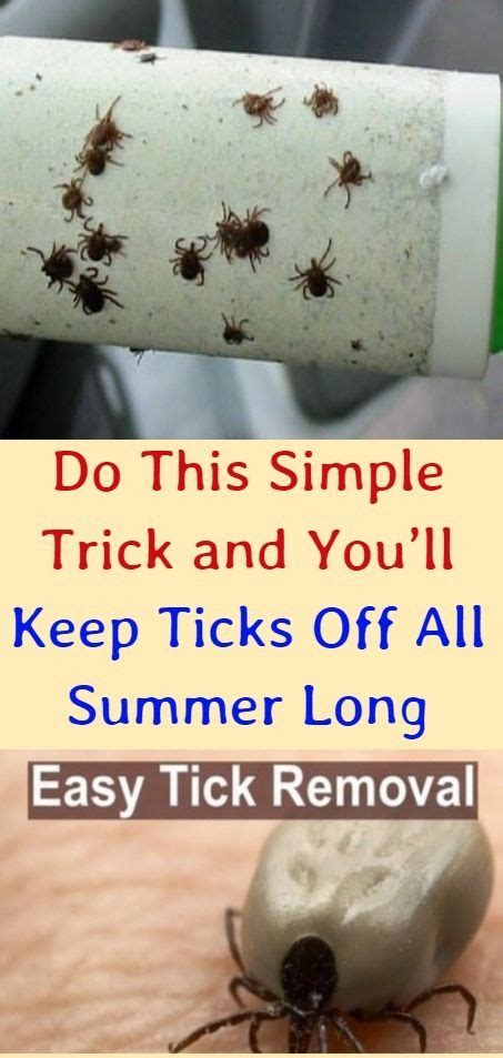 Do This Simple Trick And Youll Keep Ticks Off All Summer Long