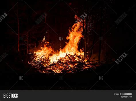 Big Flames Forest Image And Photo Free Trial Bigstock