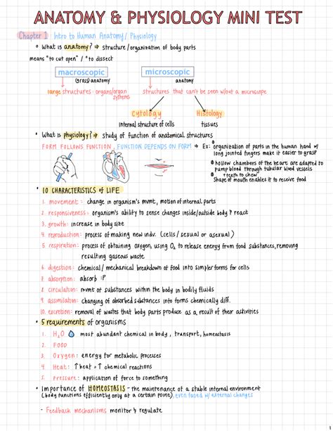 Anatomy And Physiology Study Guide Chapter 1 Anatomical Charts And Posters