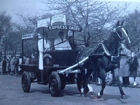 Express Dairy Milk Float Horses Equines Expressions