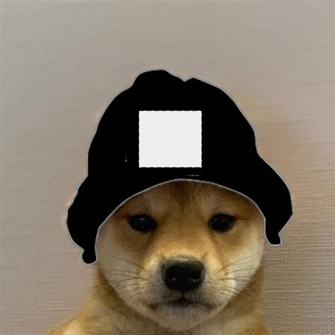 Dog With Hat Meme Maker