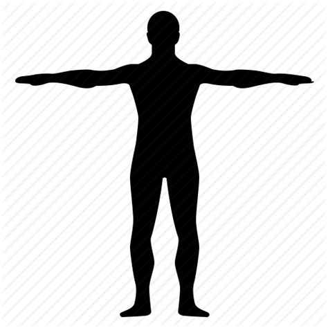 Body Icon Png 358416 Free Icons Library