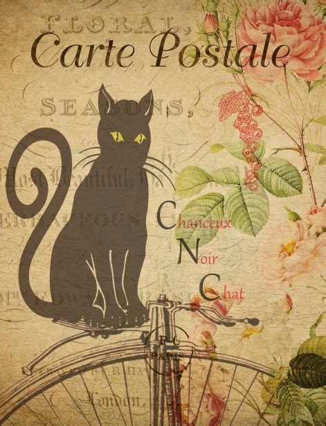 Black Cat Vintage Postage Free Stock Photo Public Domain