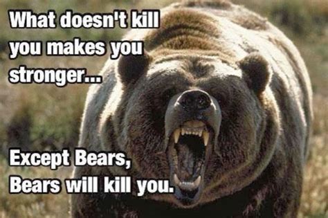 Dont Poke The Bear Quotes Quotesgram