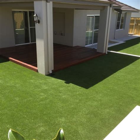 Premium provider of quality native plants in perth, western australia (grasstrees, blackboys, zamia palms) Artificial Grass Perth Prices & Cost {Ultimate Guide} Wa ...