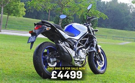 Poed entrusts altius insurance ltd for the 17th year running, with the medical insurance altius insurance strategic cooperation turns out profitable: Bike of the day: Suzuki Gladius