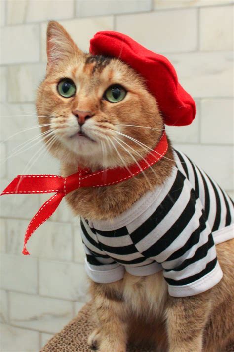 Complete French Cat Outfit Cat Beret Ascot And Striped Shirt Etsy